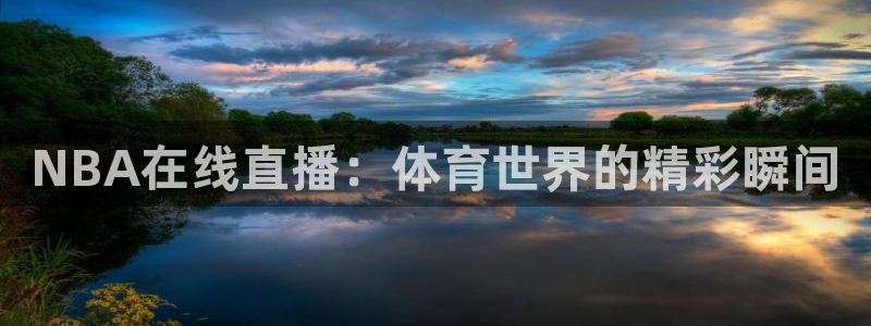 NBA在线直播：体育世界的精彩瞬间