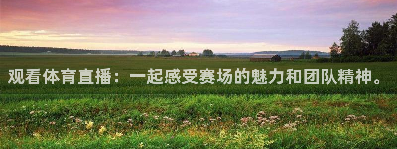 观看体育直播：一起感受赛场的魅力和团队精神。
