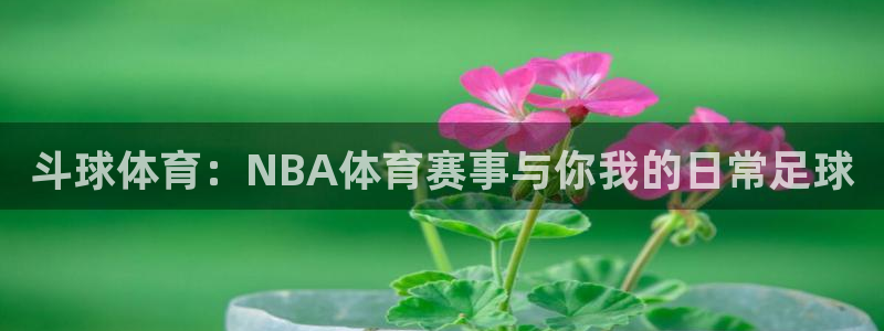 斗球体育：NBA体育赛事与你我的日常足球
