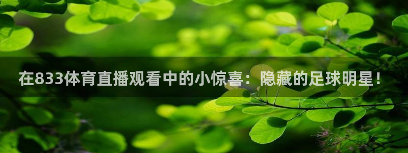 在833体育直播观看中的小惊喜：隐藏的足球明星！